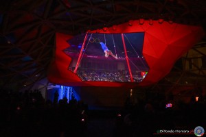 fgi divise freddy lanterna ph di tondo   ferraro 2484